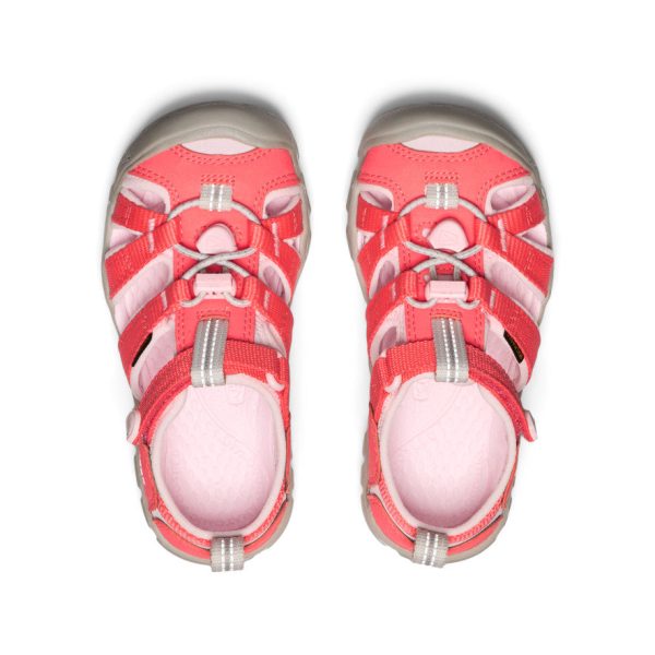 Little Kids' Seacamp II CNX  |  Dubarry/Giggle Pink