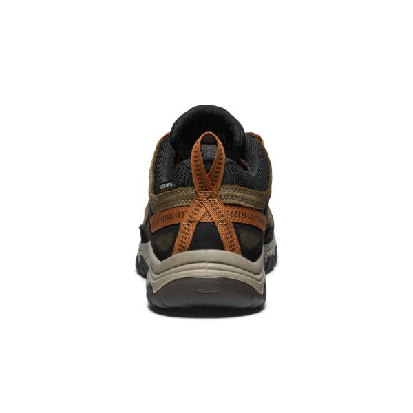 Men's Targhee IV Waterproof Hiking Shoe  |  Sea Turtle/Roasted Pecan