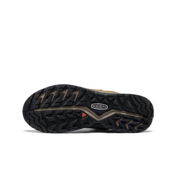Men's Hightrail Waterproof Hiking Boot  |  Martini Olive/Dark Olive